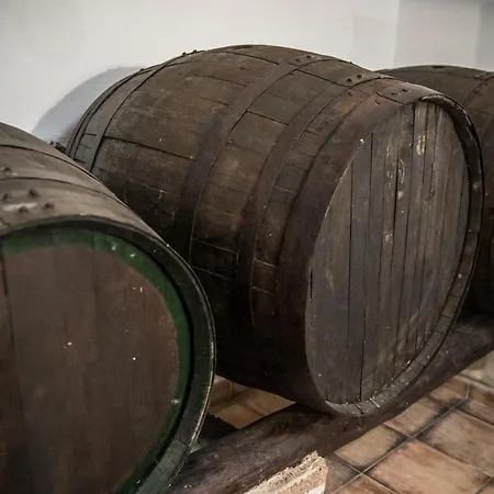 Apartamento La Bodega